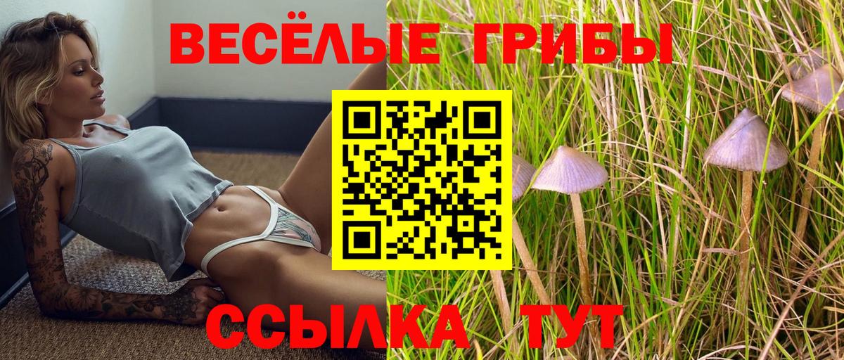 Борзя  Псилоцибиновые грибы прущие грибы  Вход с VPN 