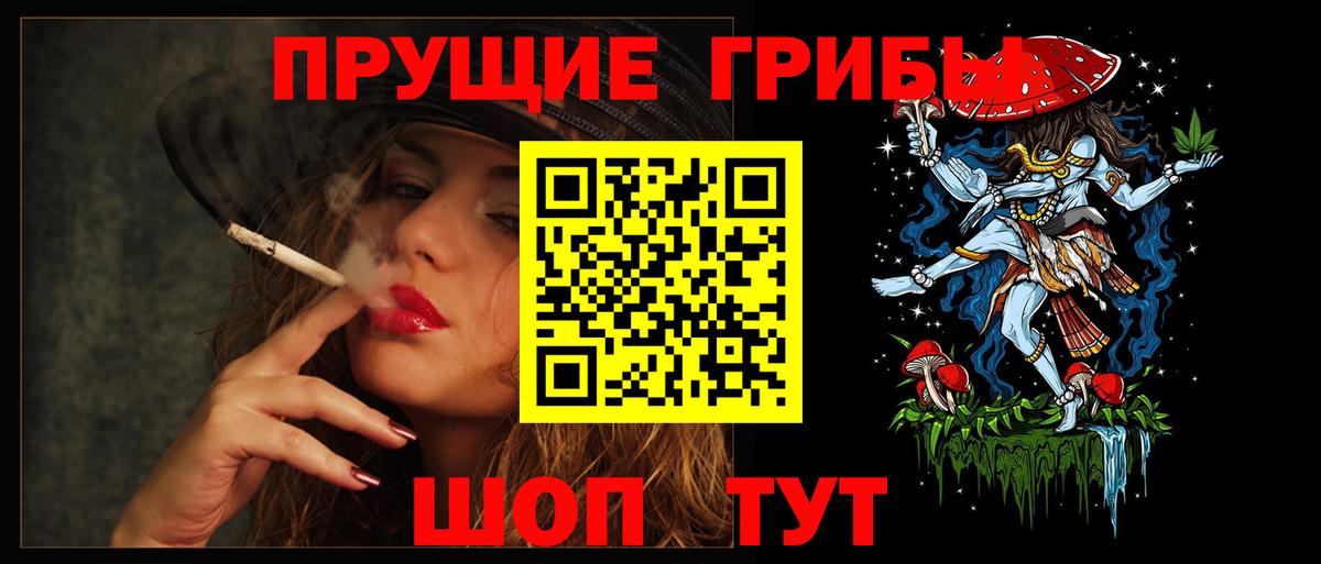 Псилоцибиновые грибы Cubensis Борзя